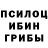 Галлюциногенные грибы мицелий Reincon