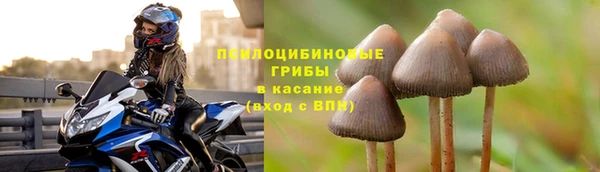 крисы Нея