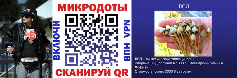 купить наркотики сайты  Алексин  ОМГ ОМГ ССЫЛКА  Псилоцибиновые грибы Magic Shrooms 