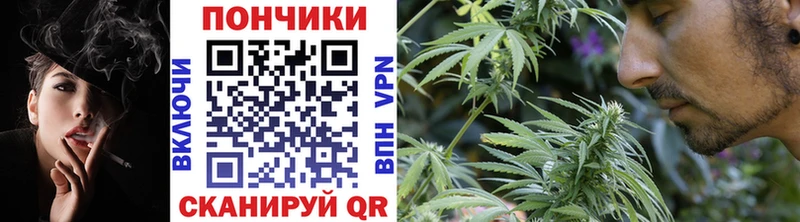 магазин    Алексин  Бошки Шишки семена 